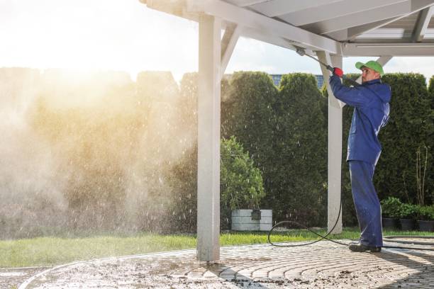 Best Sidewalk and Walkway Cleaning  in North Bend, WA