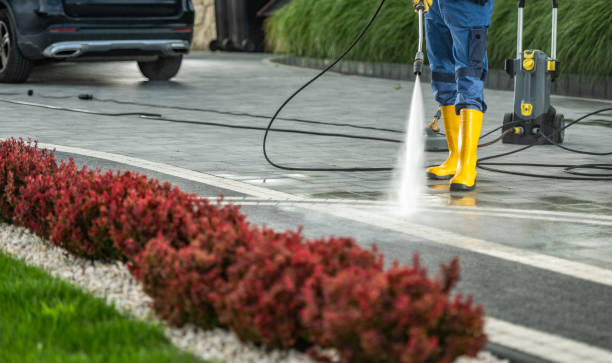Best Fence Cleaning  in North Bend, WA